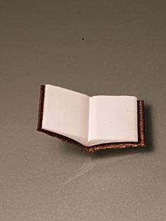 Open Book 3D Printer Model