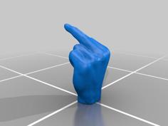 Middle Finger 3D Printer Model