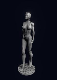 Catwoman 3D Printer Model