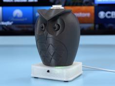 Owl IR LED TV Remote 3D Printer Model