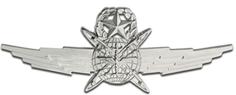 Air Force Cyberspace Operator Badges 3D Printer Model