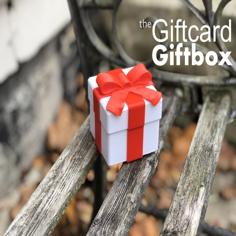 The Gift Card Box 3D Printer Model