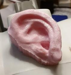 Human Ear Fridge Magnet 3D Printer Model