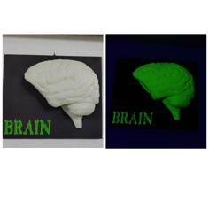 Glow Brain 3D Printer Model