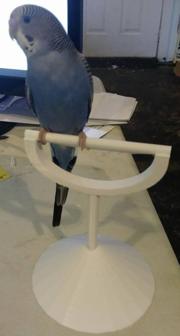 Desktop Perch For Birds 3D Printer Model