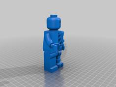 Minifigure Anatomy 3D Printer Model