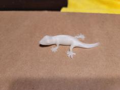 Gecko Magnet 3D Printer Model