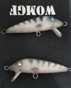 Cover Rapala Fishing Lure 3D Printer Model