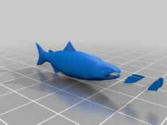 Fish Of The Salmon Family 3D Printer Model