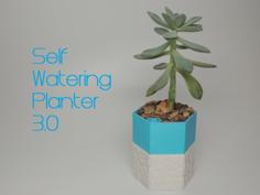 Self-watering Planter 3 3D Printer Model