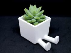 Succulent Planter / 3D Printed Planter / Legged Planter 3D Printer Model