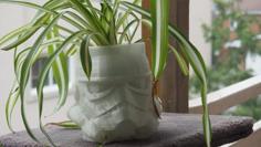 Stormtrooper Flower Pot 3D Printer Model