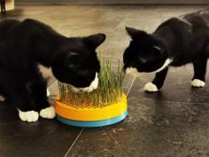 Cat Grass Planter 3D Printer Model