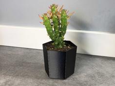 Mini-cactus Pot 3D Printer Model