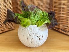 Lactuca Series (Round Bowl) 3D Printer Model