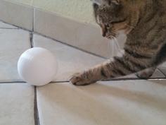 Cat Toy 3D Printer Model