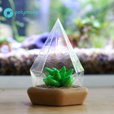 Succulent Dome 3D Printer Model