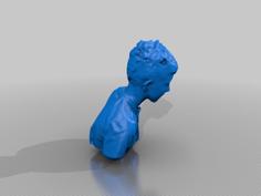 Kaidelonnette 3D Printer Model