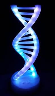 LED DNA Model – Helix Lamp 3D Printer Model