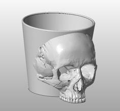 Skull Flower Pot 3D Printer Model