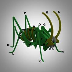 Locusts 3D Puzzle 3D Printer Model