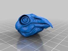 Bird Skull 3D Printer Model