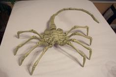 Agisis Ultimate Alien Face Hugger (40in X 23in – LIFE SIZE!) 3D Printer Model