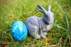 3D Bunny Puzzle 3D Printer Model