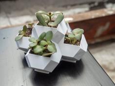 Geometric Planter With Integrated Drainage 3D Printer Model