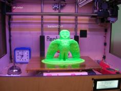 Barn Owl 02 Rev1 3D Printer Model