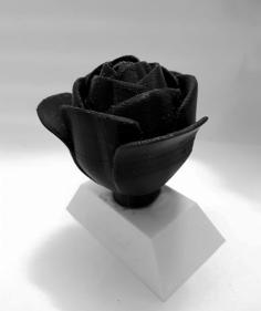 Dual Color Rose Trophy 3D Printer Model