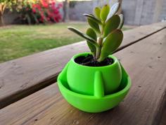 Globe Desk Planter Flower Pot 3D Printer Model