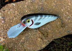 Crankbait Fishing Lure 3D Printer Model