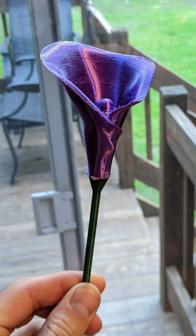 Calla Lilly Flower 3D Printer Model