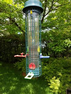 Squirrel Buster Bird Feeders Upgrades 3D Printer Model