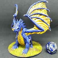 Blue Dragon For 28mm Tabletop Roleplay 3D Printer Model