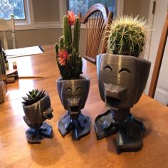 Cactus & Succulent Duck Planter 3D Printer Model