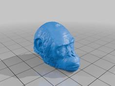 Planet Of The Apes Replacement Head PACK 3D Printer Model