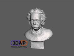 Einstein Sculpture (Bust 3D Scan) 3D Printer Model