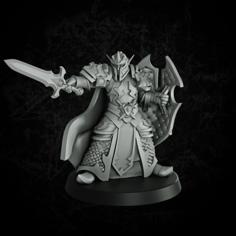 Elf Paladin 2 3D Printer Model