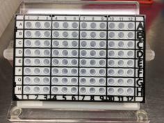 PCR QPCR Plate Loading Guide 3D Printer Model