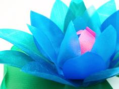 Water Lily (with A Hidden Secret) 3D Printer Model