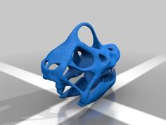 Brachiosaurus Skull 3D Printer Model