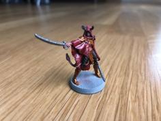 Gloomhaven Valrath Woman 3D Printer Model