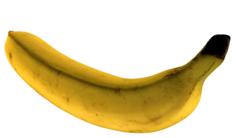 The Banana 3D Printer Model