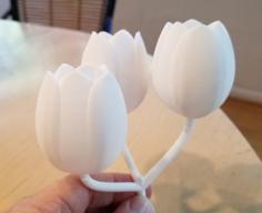 Tulip Flower 3D Printer Model