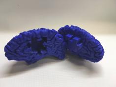 Autism Awareness Brain Puzzle 3D Printer Model