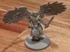 DnD Owlfolk Rogue 3D Printer Model