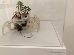 Walking Plant Hexapod Robot 3D Printer Model