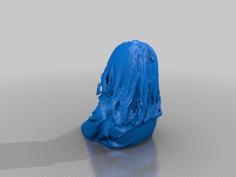 Robyn 3D Printer Model